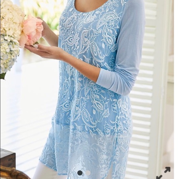 Soft Surroundings Tops - Soft Surroundings Adele Silk Tunic Top XL